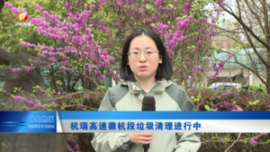 12345回音（第141期）