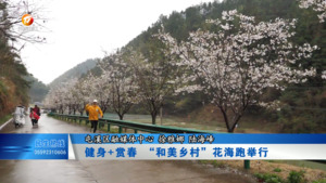健身+赏春 “和美乡村”花海跑举行