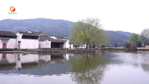 在徽州 遇见春天