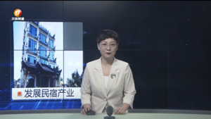 民生热线2025年4月12日
