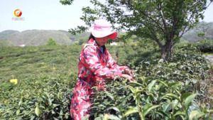 民生热线2025年4月15日
