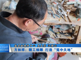 方林祥：精工细雕 打造“笼中天地”