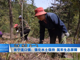 休宁流口镇：强化水土保持 筑牢生态屏障