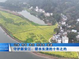 守护新安江：碧水长清的十年之约