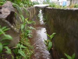 程峰来了：房屋地势低 暴雨天气容易进水