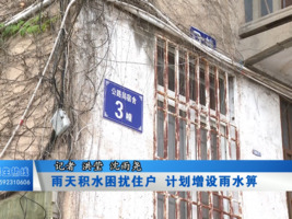 雨天积水困扰住户 计划增设雨水箅