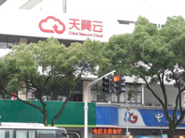 树枝挡住红绿灯 立即修剪