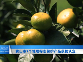 黄山市7个地理标志保护产品获批认定