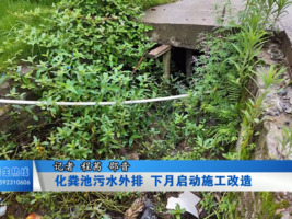 化粪池污水外排 下月启动施工改造