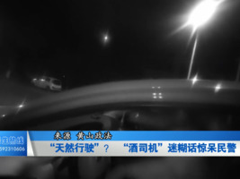 “天然行驶”？酒司机迷糊话惊呆民警