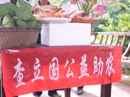 一场“村播” 销售额五万多