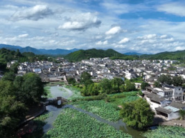 呈坎：日赏荷夜看灯 多彩文旅迎客来