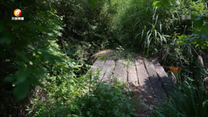 西武岭古道:石径蜿蜒 古道悠长