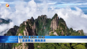 走进黄山   拥抱清凉