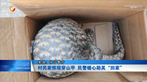 村民家惊现穿山甲 民警暖心助其“回家”