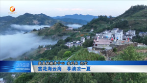 赏花海云海  享清凉一夏