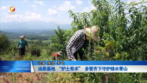 【绿美黄山】油茶基地 “护土有术” 多管齐下守护绿水青山