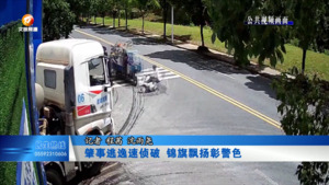 肇事逃逸速侦破 锦旗飘扬彰警色