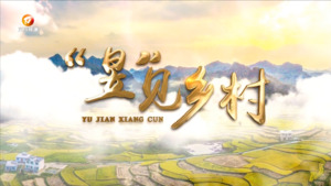 屯溪区：科技赋能 守护农产品安全新防线