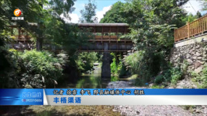丰梧渠语