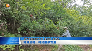樟源里村：村民整修古道