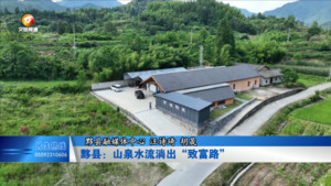 黟县：山泉水流淌出“致富路”