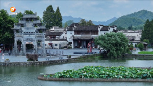 西递的荷是写给夏天的诗
