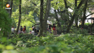 古村秘境觅清凉 绿野溪畔享闲适