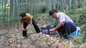 民生热线2025年7月27日