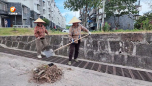 整治城郊环境 人居环境“焕”新颜