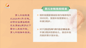 国家育儿补贴方案公布: 每孩每年3600元