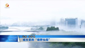城市里的“绿野仙踪”