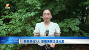 12345回音（第150期）