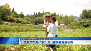 立秋节气啃“秋”瓜 清凉暑消迎秋爽