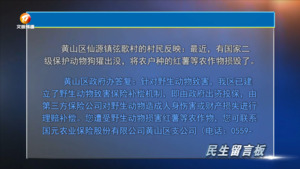 民生留言板