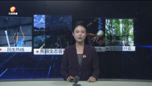 民生热线2025年8月11日