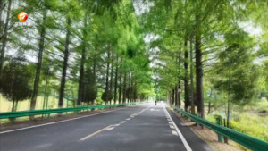 黟县：荣膺全国自驾游标杆县 绘就全域旅游新画卷