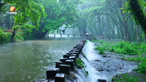 湿地轮休：守护“绿野仙踪”