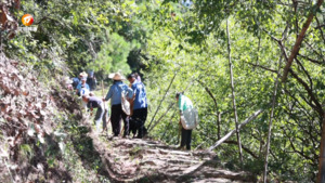 姬川村：村民义务维修古道十余年