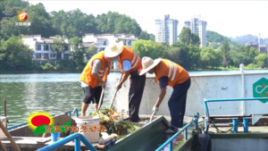 高温下的劳动者
水域保洁员：用汗水守护碧水清波